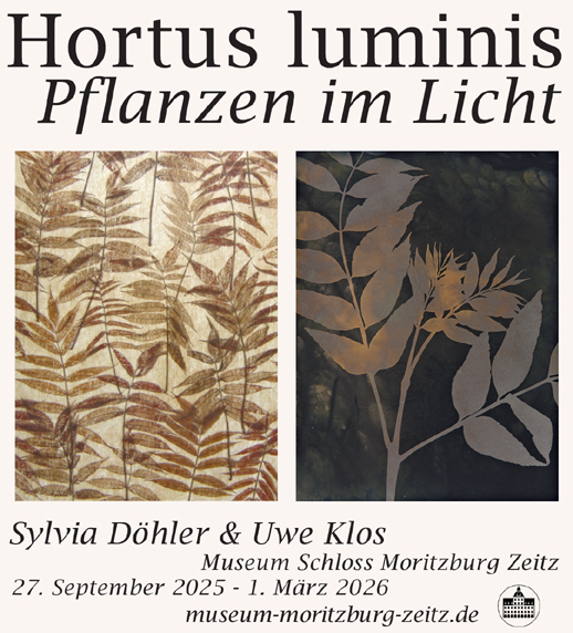 Hortus luminis in Zeitz