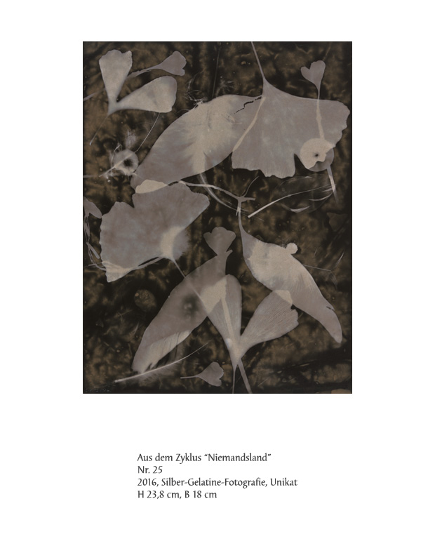 Uwe Klos, Niemandsland Nr. 25