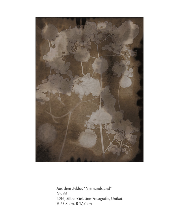 Uwe Klos, Niemandsland Nr. 33