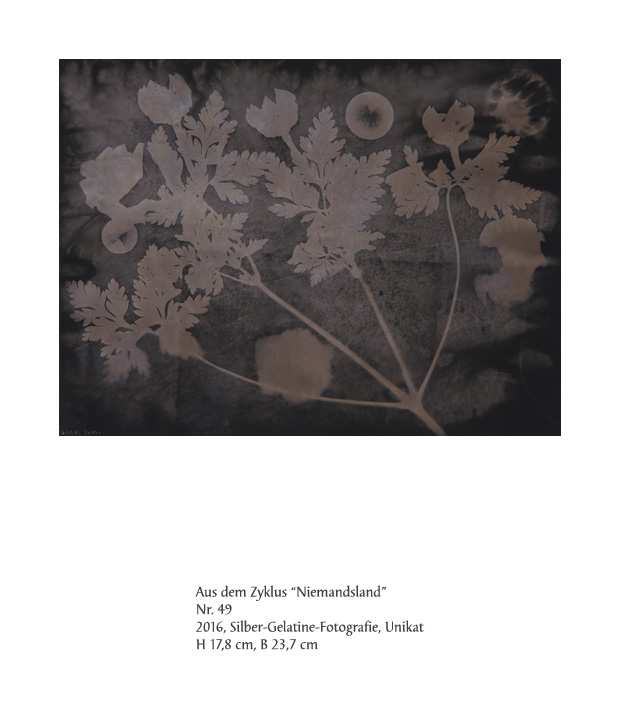 Uwe Klos, Niemandsland Nr. 49