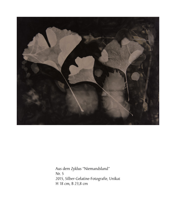 Uwe Klos, Niemandsland Nr. 5