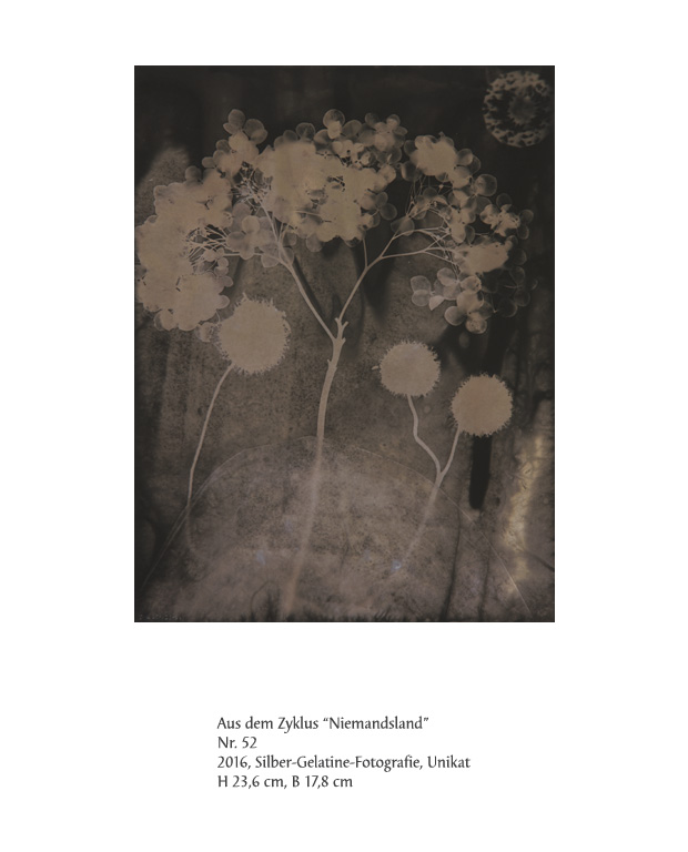 Uwe Klos, Niemandsland Nr. 52