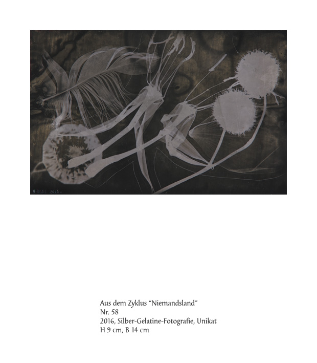 Uwe Klos, Niemandsland Nr. 58