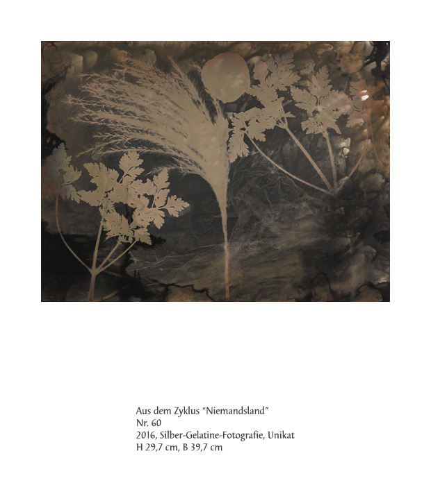 Uwe Klos, Niemandsland Nr. 60