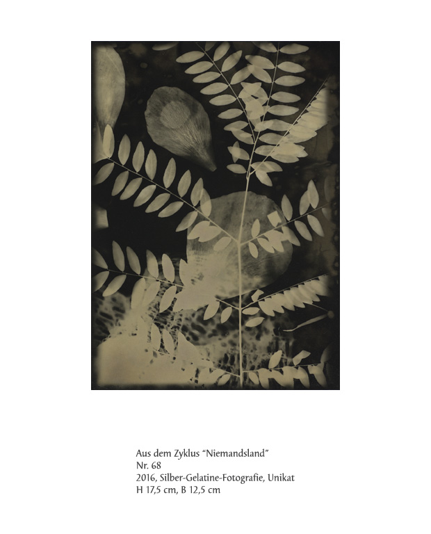 Uwe Klos, Niemandsland Nr. 68