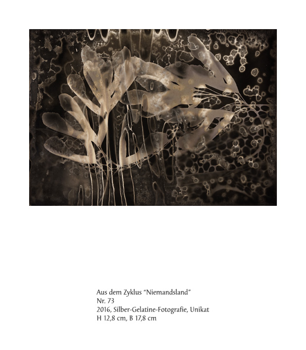 Uwe Klos, Niemandsland Nr. 73