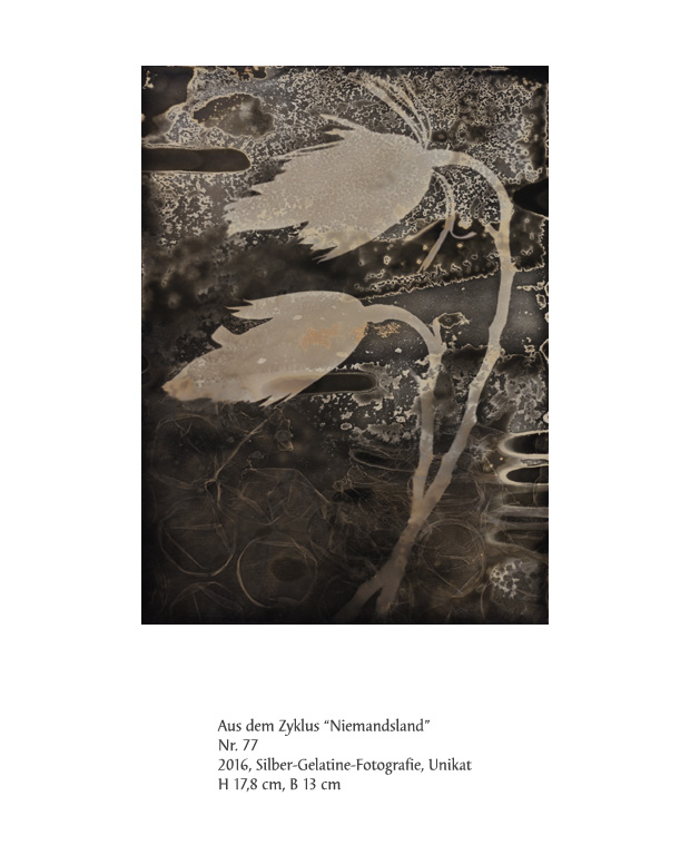 Uwe Klos, Niemandsland Nr. 77