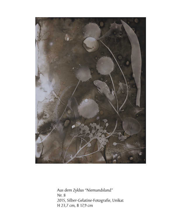 Uwe Klos, Niemandsland Nr. 8