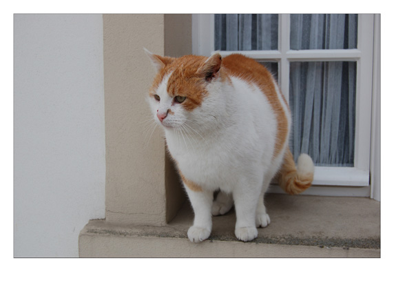 K&uuml;nstlerhaus Schloss Wiepersdorf 2010