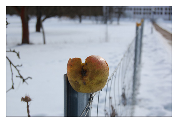 K&uuml;nstlerhaus Schloss Wiepersdorf 2010