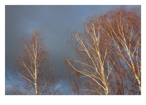 K&uuml;nstlerhaus Schloss Wiepersdorf 2010,