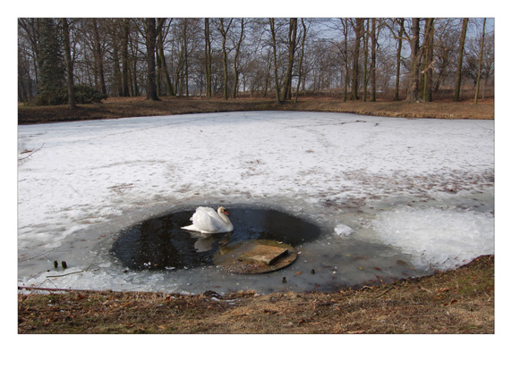 K&uuml;nstlerhaus Schloss Wiepersdorf 2010