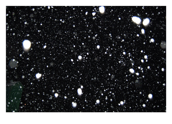 K&uuml;nstlerhaus Schloss Wiepersdorf 2010