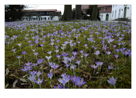 K&uuml;nstlerhaus Schloss Wiepersdorf 2010